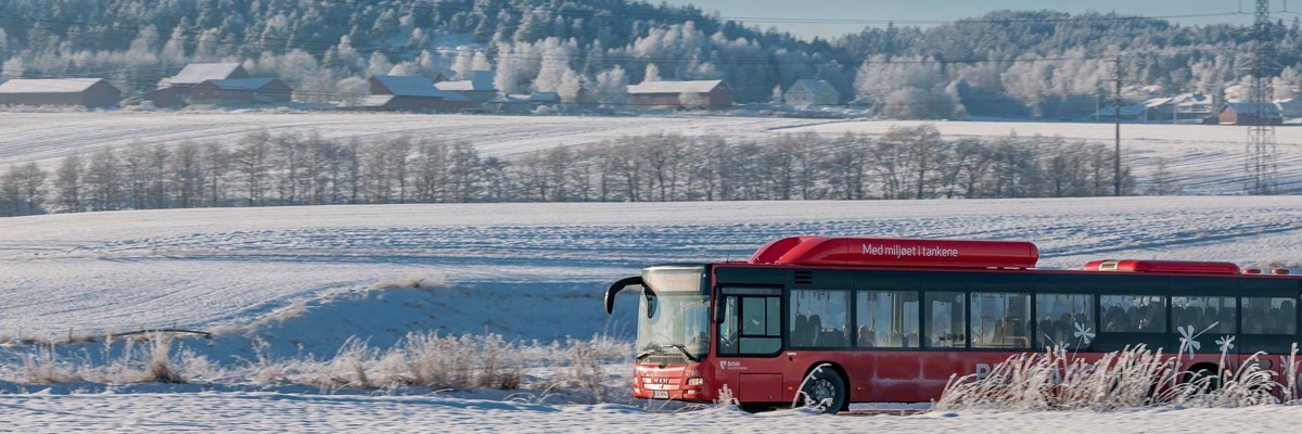 Fra 28. januar er det nye priser på buss- og fergebilletter i Østfold